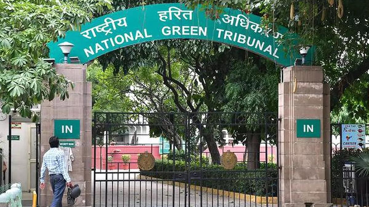 Form panel to visit forest diverted on Assam-Nagaland border: NGT to Environment Ministry